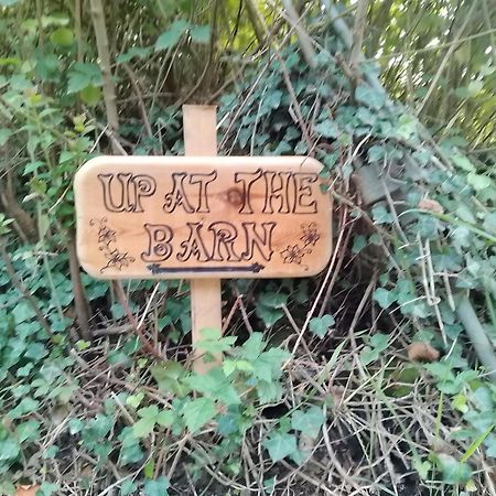 Up At The Barn Hotel Petworth Ngoại thất bức ảnh